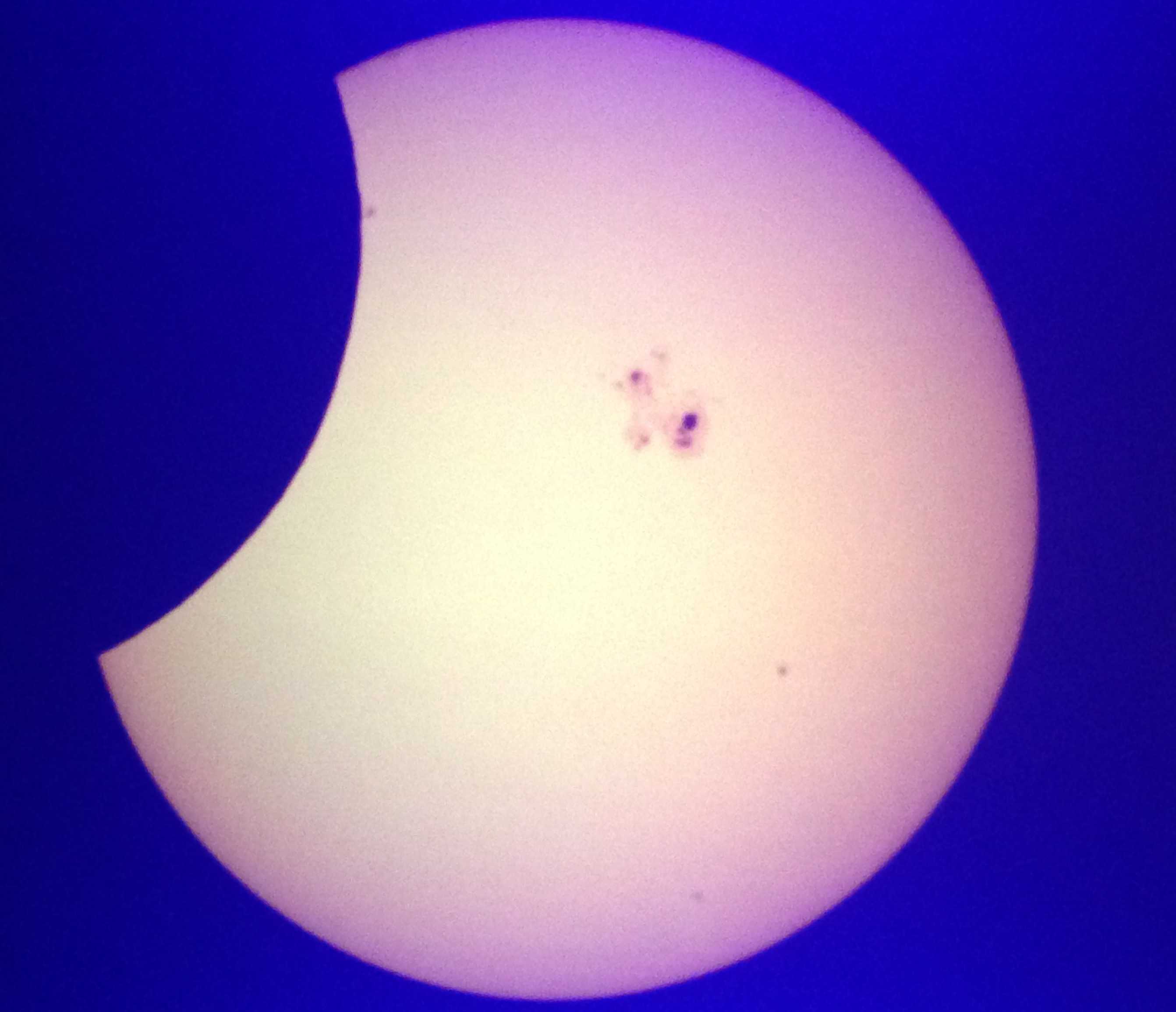 Griffin Planetarium Live broadcast of partial solar eclipse from California.