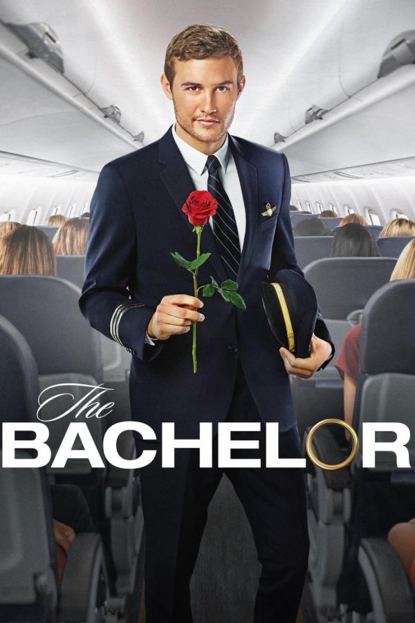The journey: How The Bachelor rose to prominence