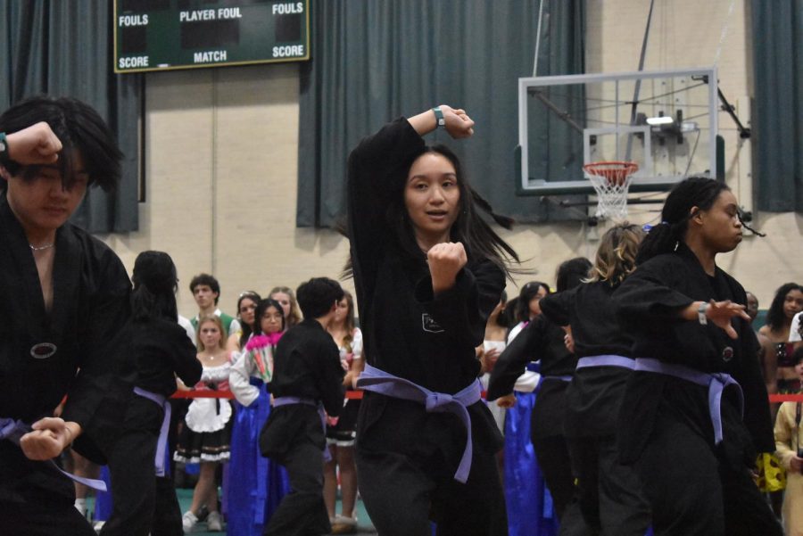 Senior and Korean Club President Christine Lichauco does Taekwondo.
