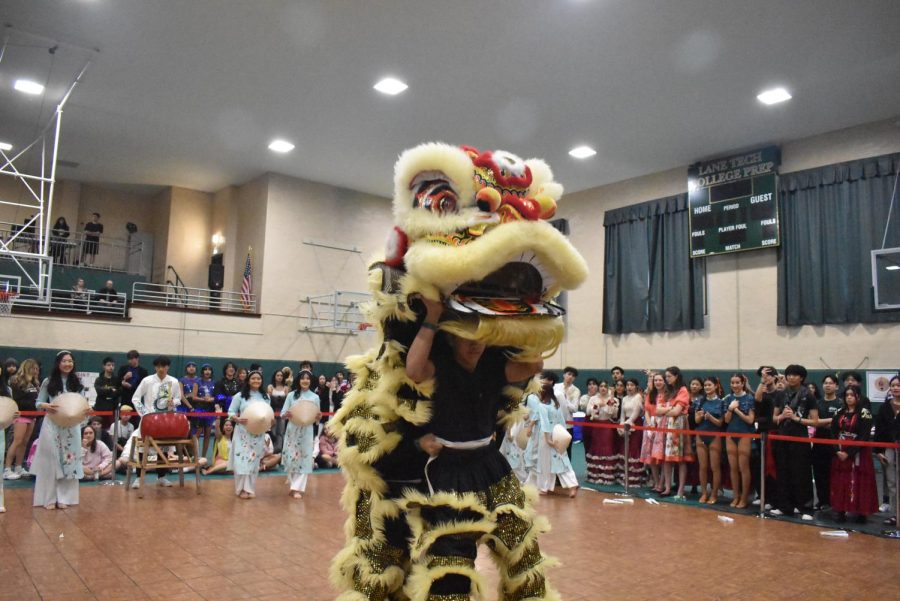 Two Vietnamese Club members perform the Lion dance, a traditional dance in Vietnam and other Asian countries. The Vietnamese Club’s performance tells the story of a group of people who stumble upon a Buddhist village that shows them the tradition of Lion dancing for good fortune and prosperity, which brings them closer together as a community. 